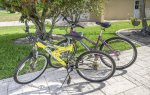 Two Bicylces Available 
